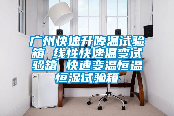 廣州快速升降溫試驗(yàn)箱 線性快速溫變試驗(yàn)箱 快速變溫恒溫恒濕試驗(yàn)箱