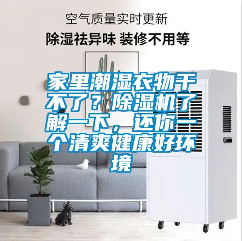 家里潮濕衣物干不了？除濕機(jī)了解一下，還你一個清爽健康好環(huán)境