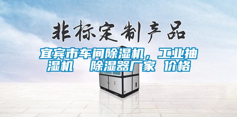 宜賓市車間除濕機，工業抽濕機  除濕器廠家 價格