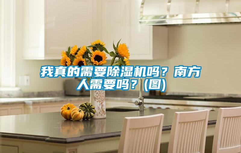 我真的需要除濕機嗎？南方人需要嗎？(圖)
