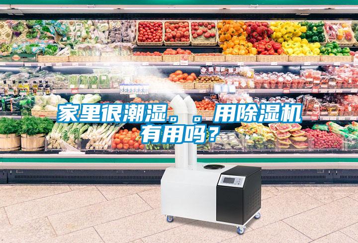 家里很潮濕。。用除濕機有用嗎？