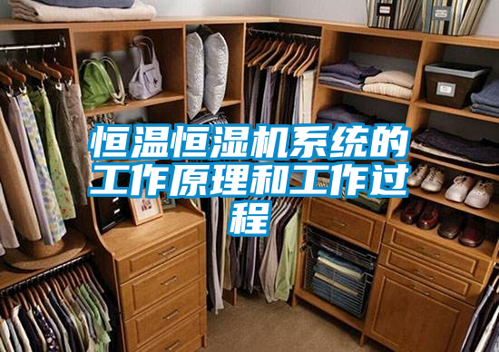 恒溫恒濕機系統(tǒng)的工作原理和工作過程