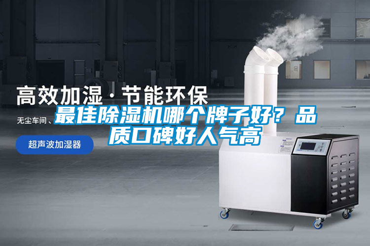 最佳除濕機(jī)哪個(gè)牌子好？品質(zhì)口碑好人氣高