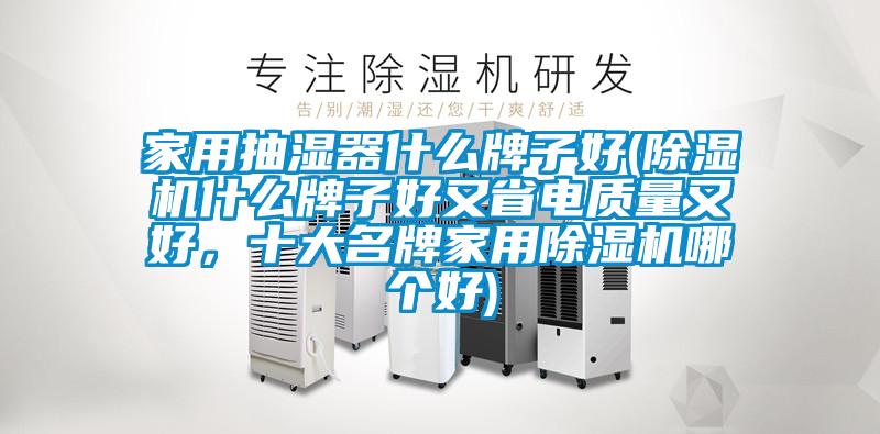家用抽濕器什么牌子好(除濕機什么牌子好又省電質量又好，十大名牌家用除濕機哪個好)