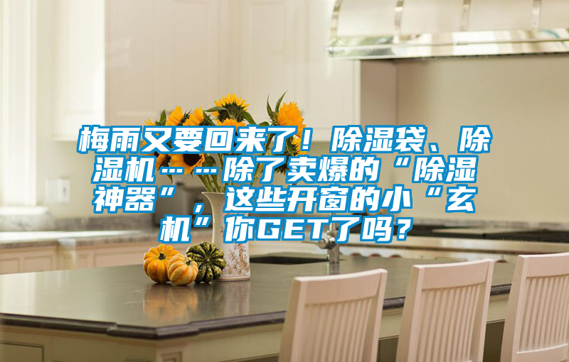 梅雨又要回來了！除濕袋、除濕機……除了賣爆的“除濕神器”，這些開窗的小“玄機”你GET了嗎？