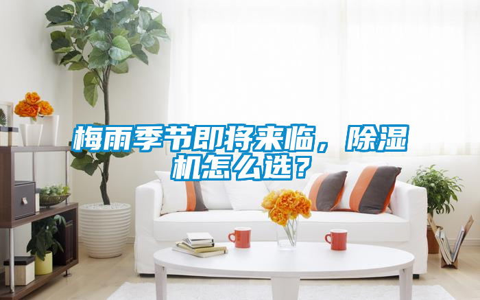 梅雨季節即將來臨，除濕機怎么選？