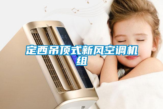 定西吊頂式新風(fēng)空調(diào)機組