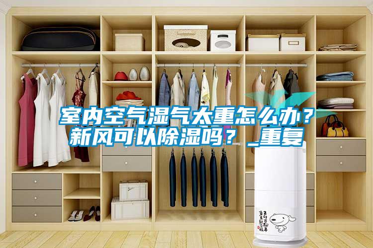 室內空氣濕氣太重怎么辦？新風可以除濕嗎？_重復