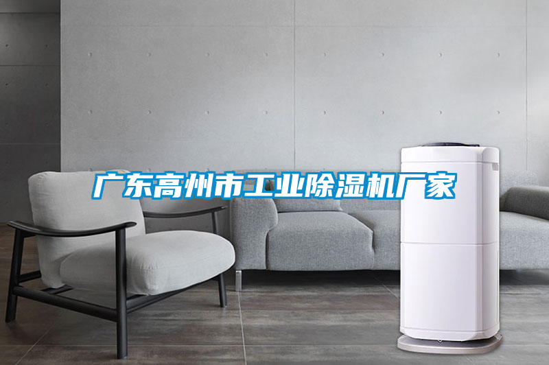 廣東高州市工業(yè)除濕機廠家