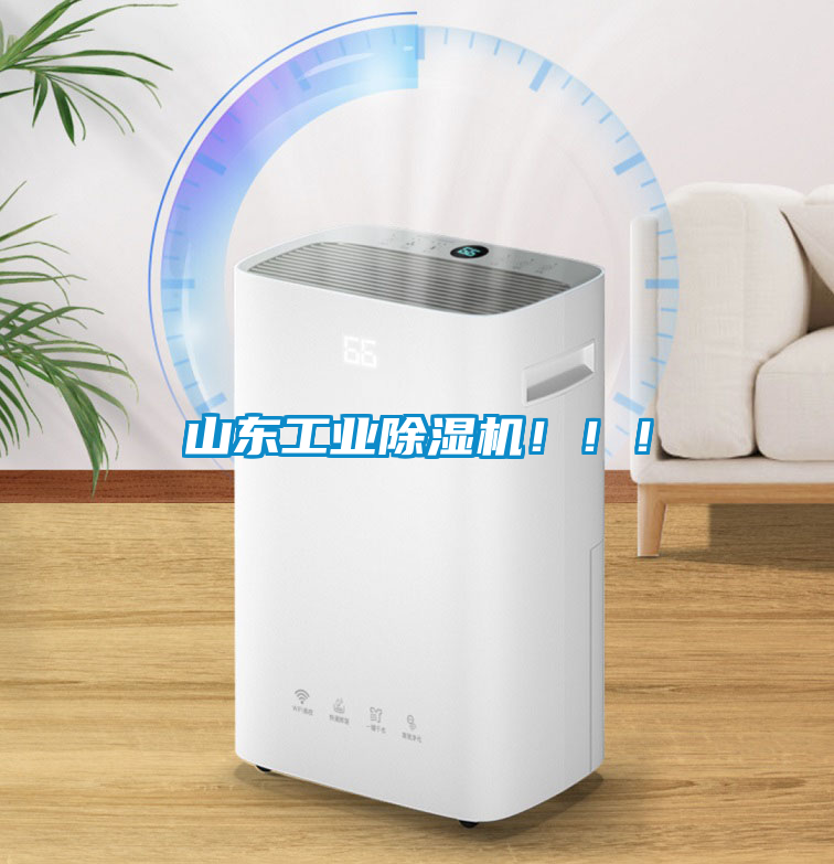 山東工業(yè)除濕機(jī)?。。?/></p>
<p style=
