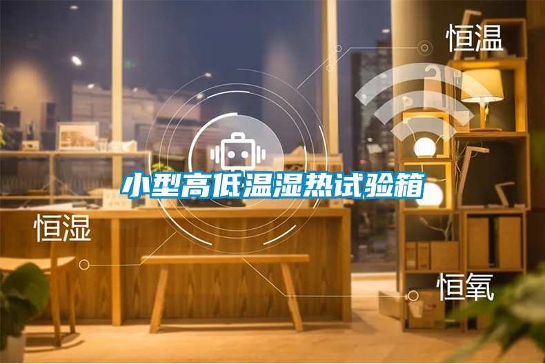 小型高低溫濕熱試驗(yàn)箱