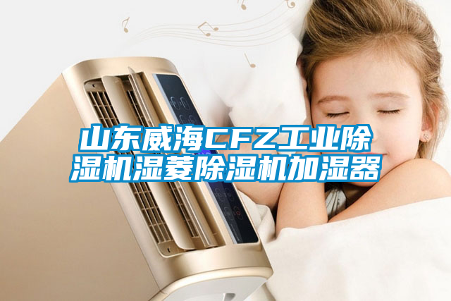 山東威海CFZ工業(yè)除濕機濕菱除濕機加濕器