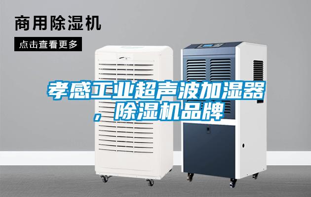 孝感工業(yè)超聲波加濕器，除濕機(jī)品牌