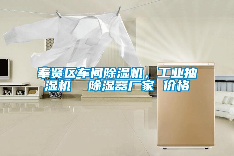 奉賢區(qū)車間除濕機，工業(yè)抽濕機  除濕器廠家 價格