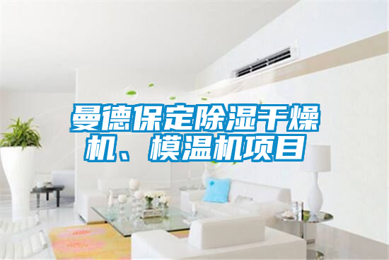 曼德保定除濕干燥機、模溫機項目