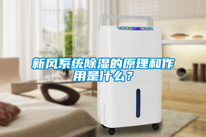 新風系統除濕的原理和作用是什么？
