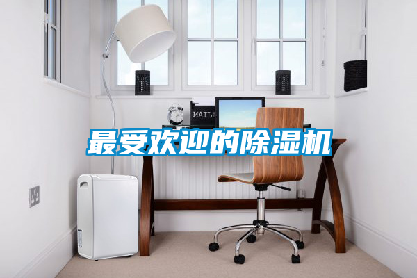 最受歡迎的除濕機