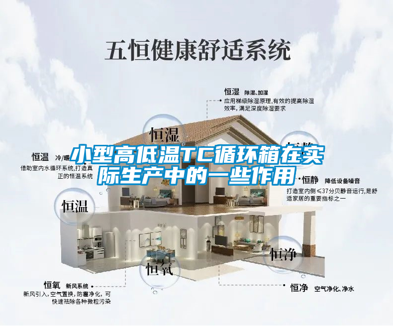 小型高低溫TC循環(huán)箱在實際生產(chǎn)中的一些作用