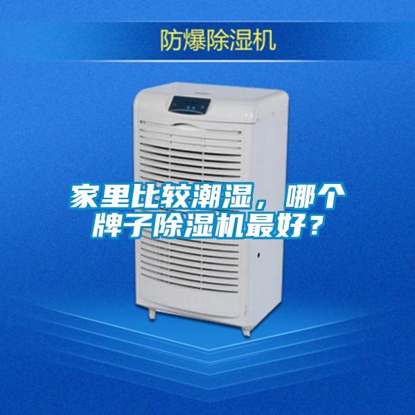 家里比較潮濕，哪個牌子除濕機最好？