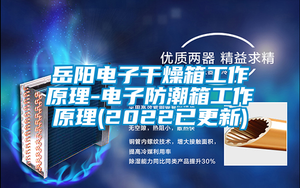 岳陽(yáng)電子干燥箱工作原理-電子防潮箱工作原理(2022已更新)