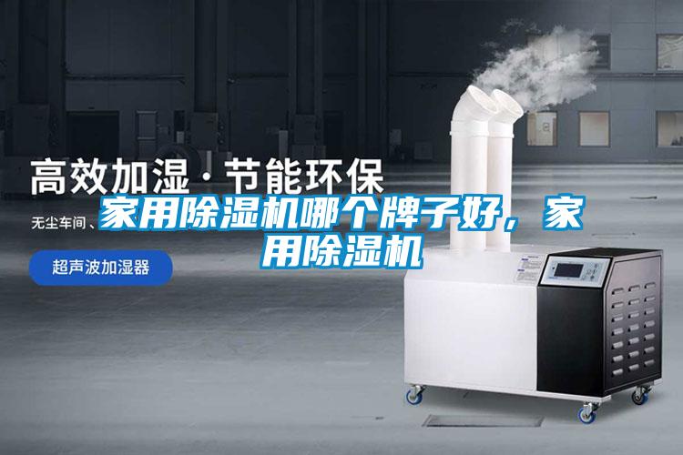家用除濕機哪個牌子好，家用除濕機