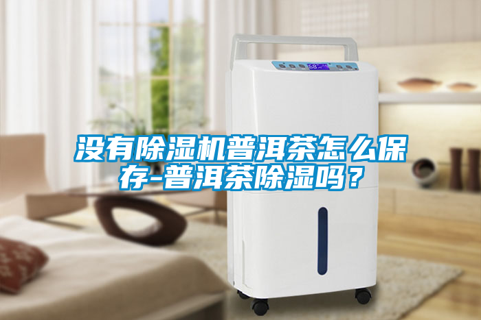 沒(méi)有除濕機(jī)普洱茶怎么保存-普洱茶除濕嗎？