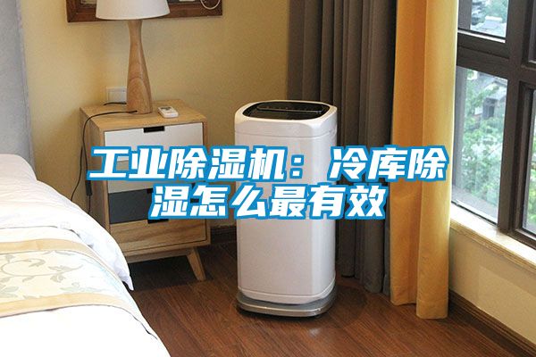 工業(yè)除濕機(jī)：冷庫(kù)除濕怎么最有效
