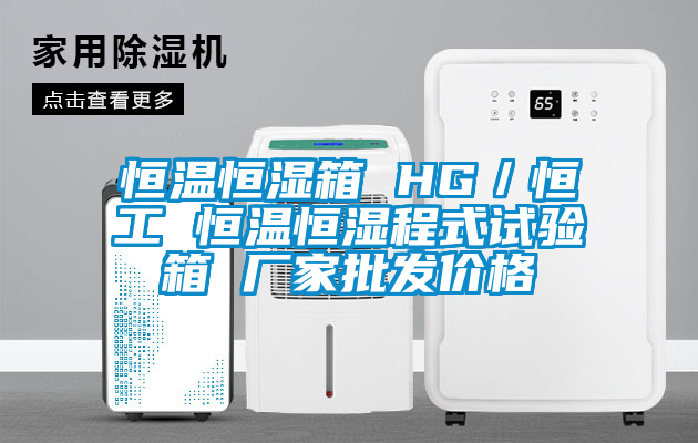恒溫恒濕箱 HG／恒工 恒溫恒濕程式試驗箱 廠家批發(fā)價格