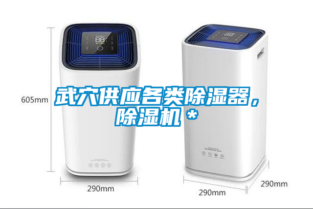 武穴供應(yīng)各類除濕器，除濕機(jī)＊
