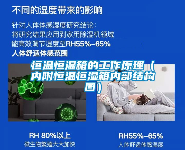 恒溫恒濕箱的工作原理（內(nèi)附恒溫恒濕箱內(nèi)部結構圖）