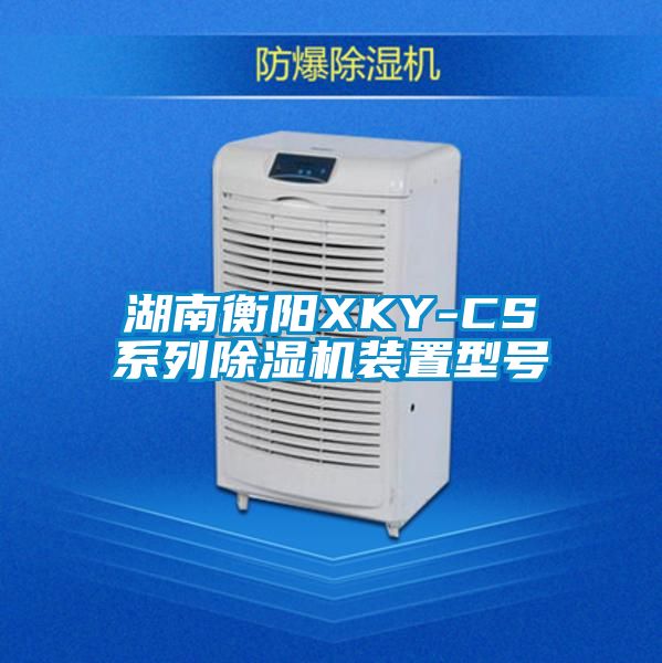 湖南衡陽(yáng)XKY-CS系列除濕機(jī)裝置型號(hào)