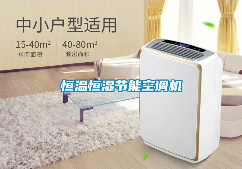 恒溫恒濕節(jié)能空調機