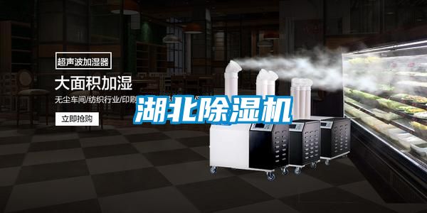 湖北除濕機(jī)