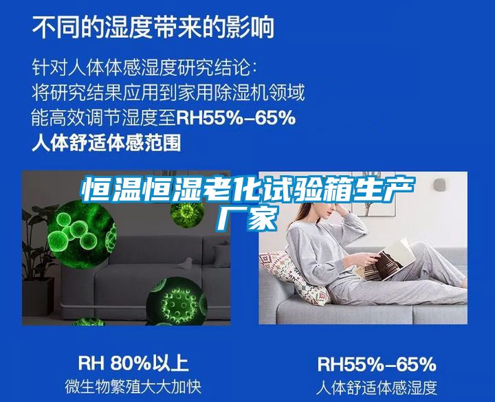 恒溫恒濕老化試驗(yàn)箱生產(chǎn)廠家