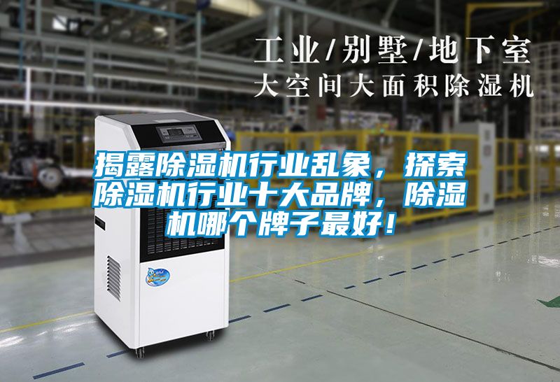 揭露除濕機(jī)行業(yè)亂象，探索除濕機(jī)行業(yè)十大品牌，除濕機(jī)哪個(gè)牌子最好！