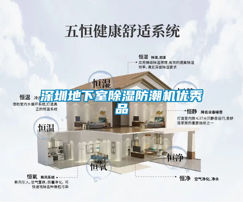 深圳地下室除濕防潮機優(yōu)秀品