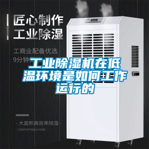 工業(yè)除濕機在低溫環(huán)境是如何工作運行的