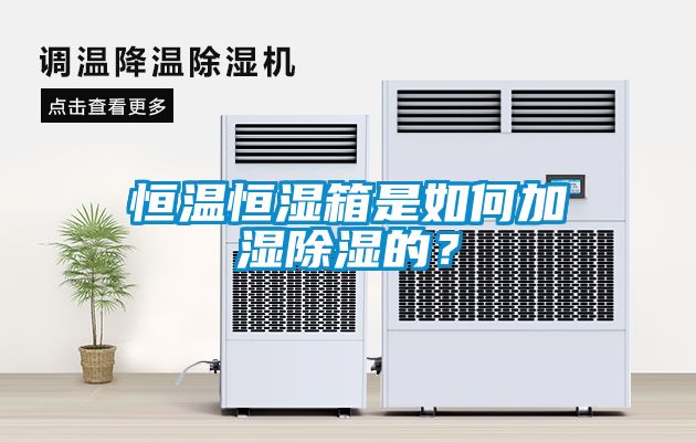恒溫恒濕箱是如何加濕除濕的？
