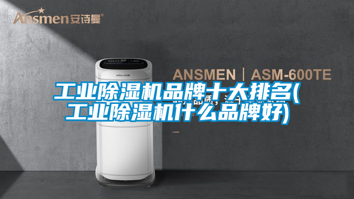 工業(yè)除濕機品牌十大排名(工業(yè)除濕機什么品牌好)