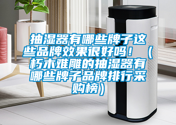 抽濕器有哪些牌子這些品牌效果很好嗎?。ㄐ嗄倦y雕的抽濕器有哪些牌子品牌排行采購榜）