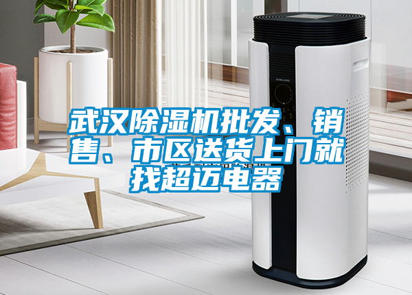 武漢除濕機批發(fā)、銷售、市區(qū)送貨上門就找超邁電器