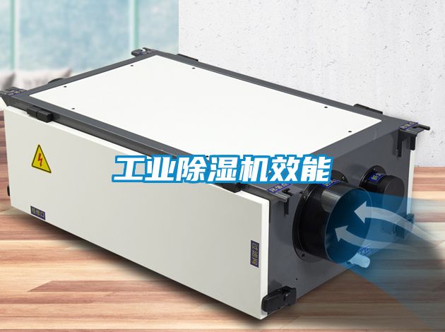 工業(yè)除濕機(jī)效能