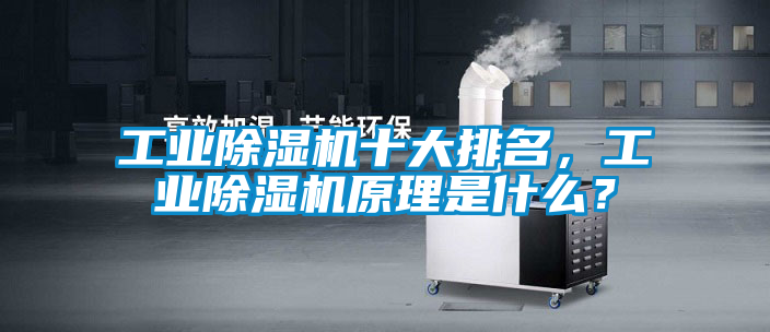 工業除濕機十大排名，工業除濕機原理是什么？
