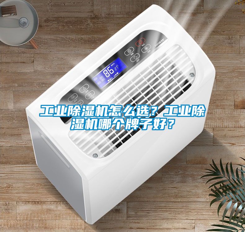 工業(yè)除濕機(jī)怎么選？工業(yè)除濕機(jī)哪個牌子好？