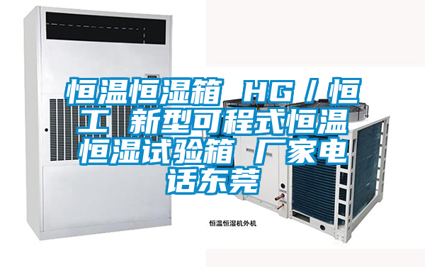 恒溫恒濕箱 HG／恒工 新型可程式恒溫恒濕試驗(yàn)箱 廠家電話東莞