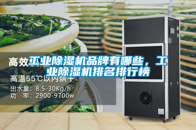 工業除濕機品牌有哪些，工業除濕機排名排行榜