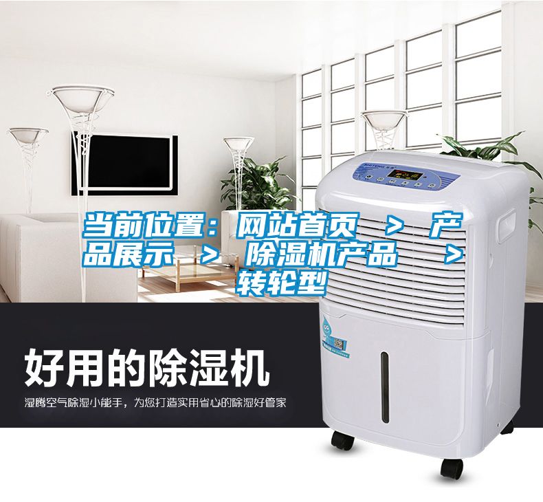 當(dāng)前位置：網(wǎng)站首頁(yè) ＞ 產(chǎn)品展示 ＞ 除濕機(jī)產(chǎn)品  ＞ 轉(zhuǎn)輪型