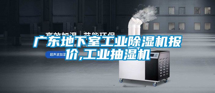 廣東地下室工業(yè)除濕機(jī)報價,工業(yè)抽濕機(jī)