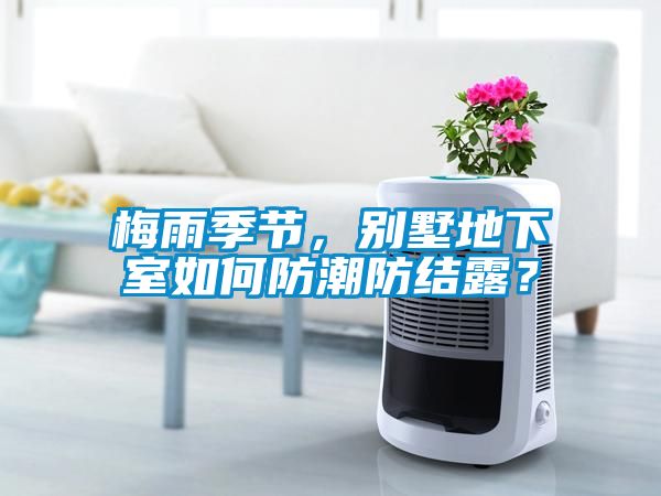 梅雨季節，別墅地下室如何防潮防結露？