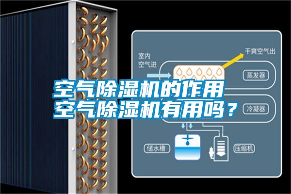空氣除濕機(jī)的作用 空氣除濕機(jī)有用嗎？